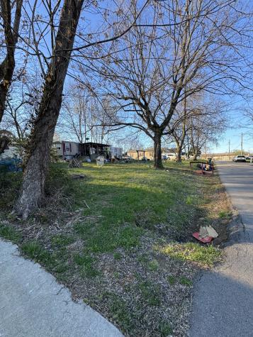 1607 Mantlo Street Springfield TN 37172