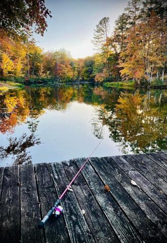 23475 Sr 108 Coalmont TN 37313