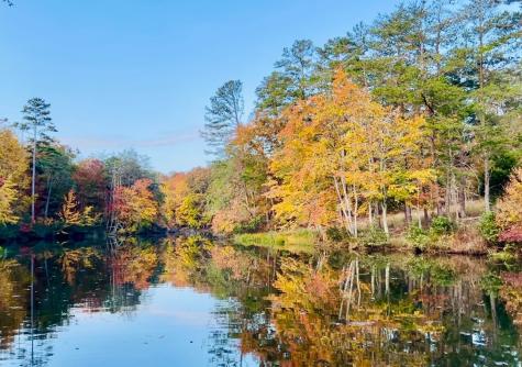 23475 Sr 108 Coalmont TN 37313