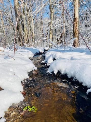 23475 Sr 108 Coalmont TN 37313