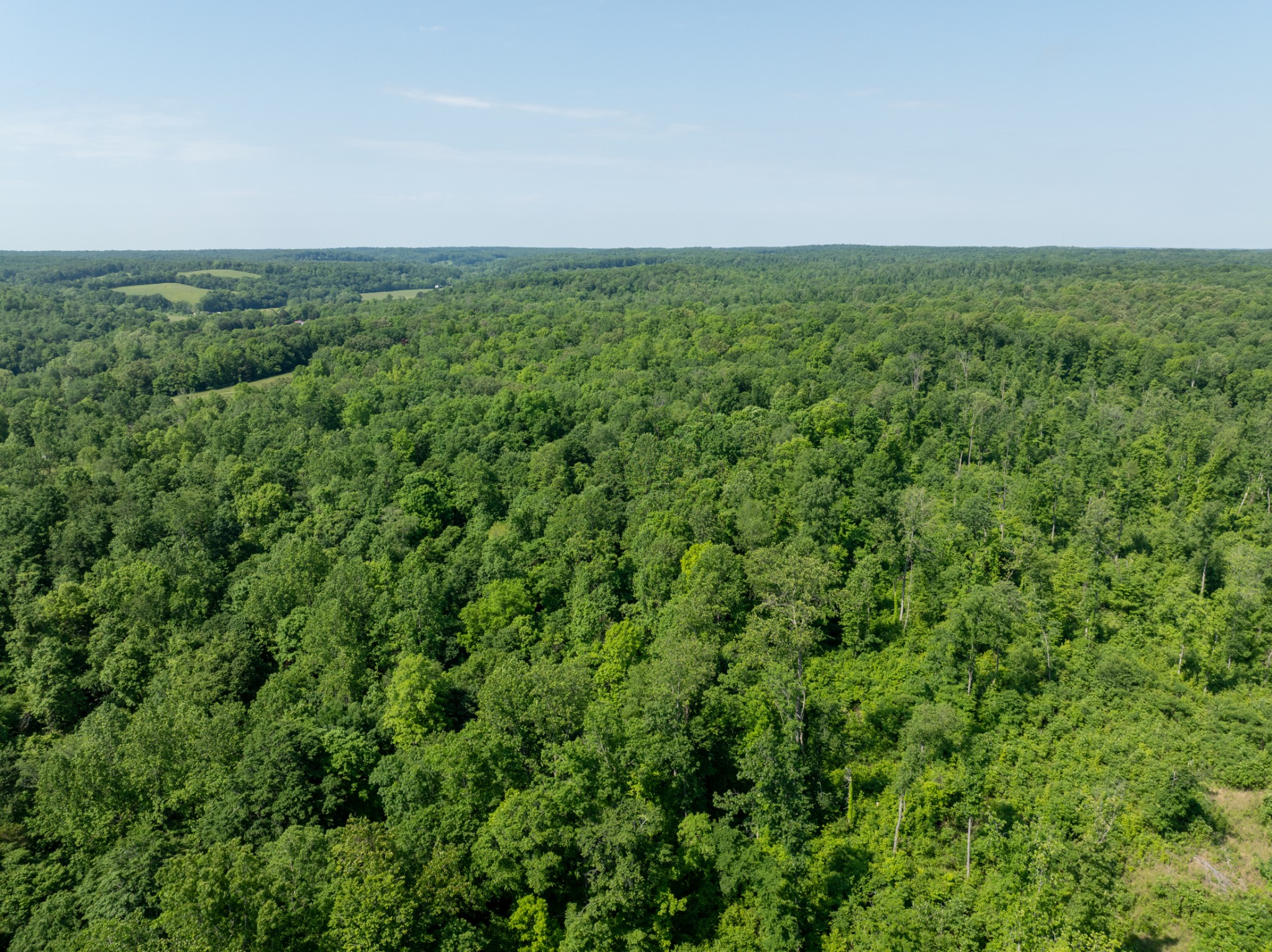 2 Highway 49 Erin TN 37061