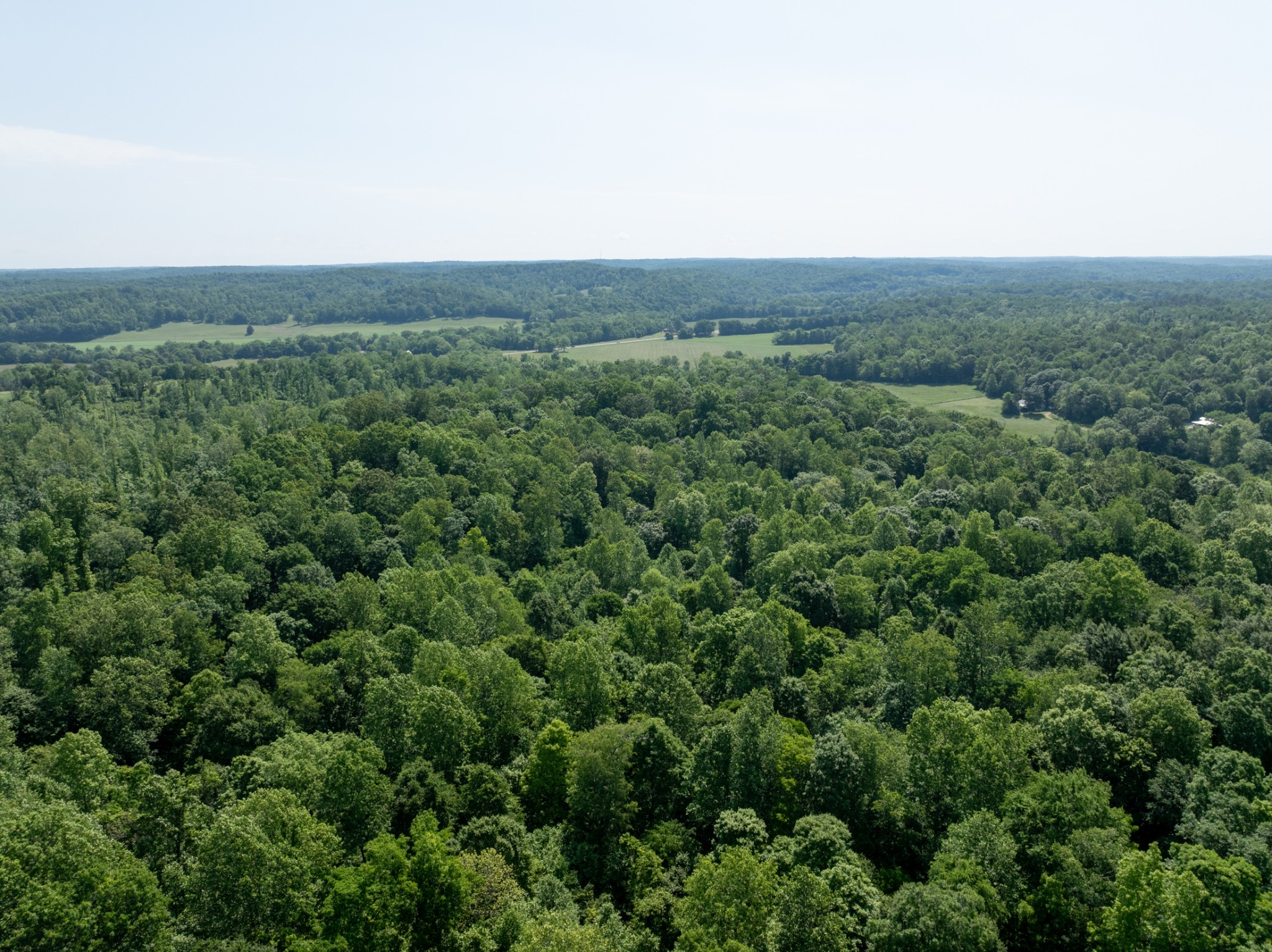 2 Highway 49 Erin TN 37061