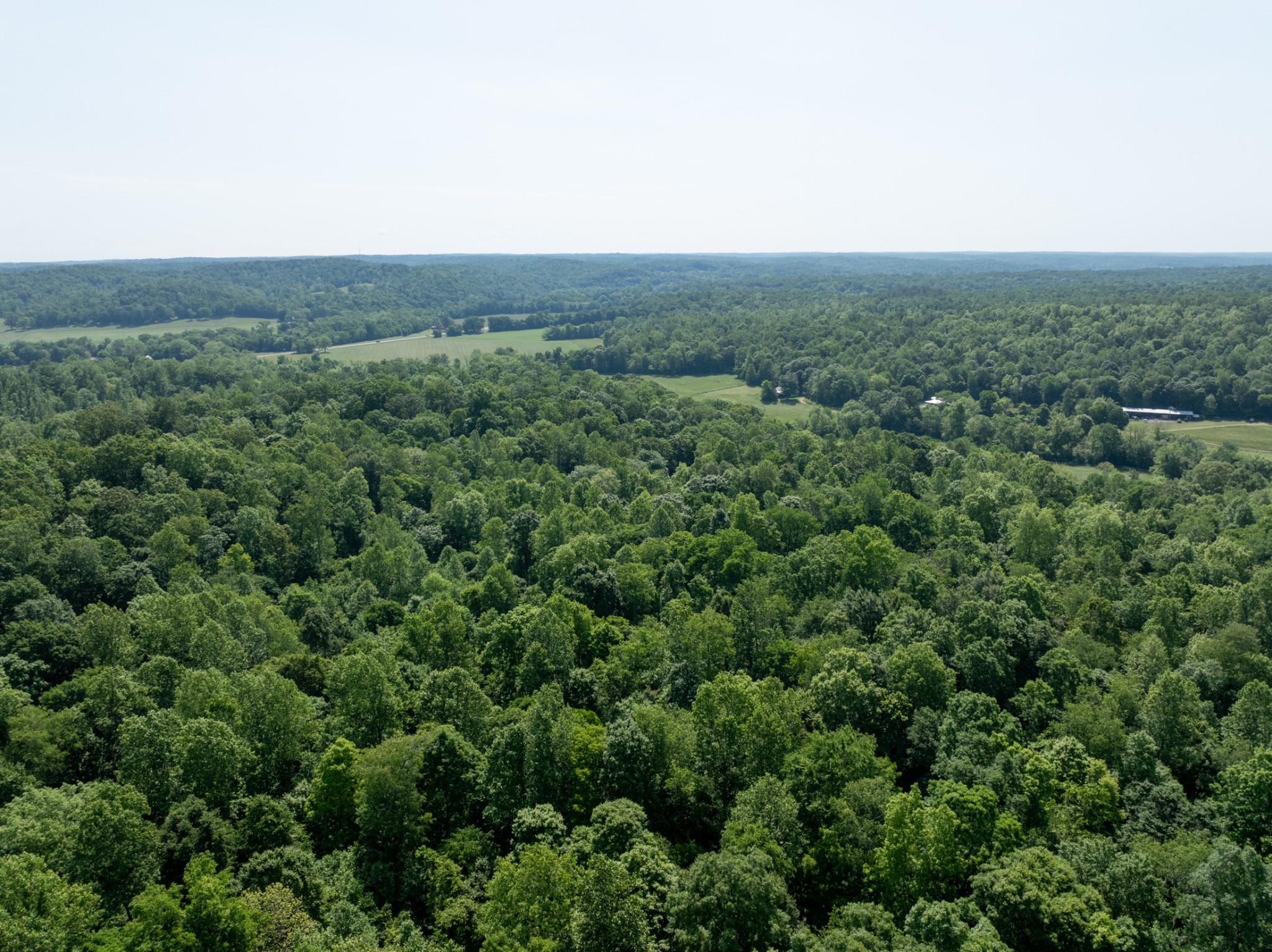 2 Highway 49 Erin TN 37061