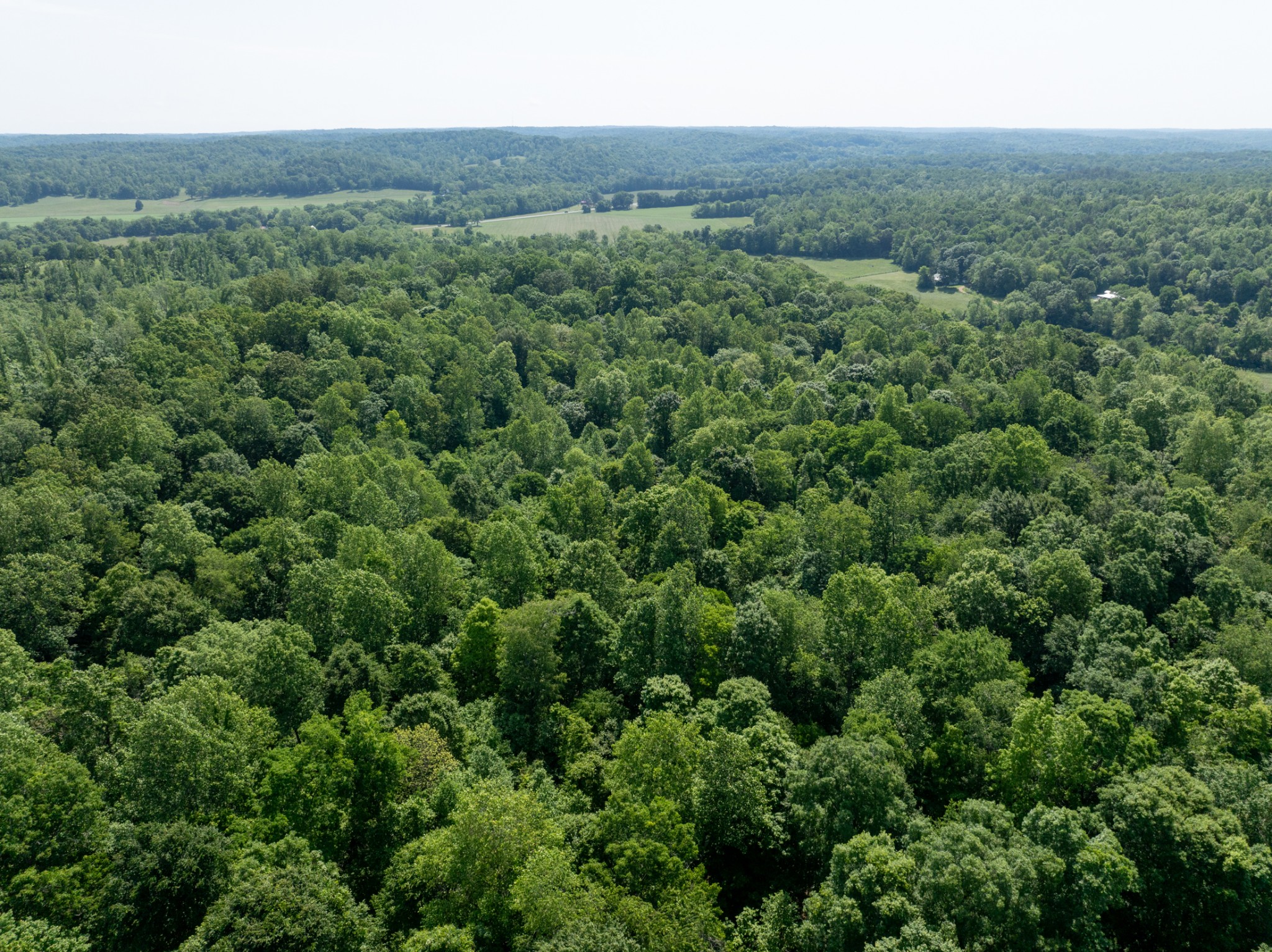 2 Highway 49 Erin TN 37061