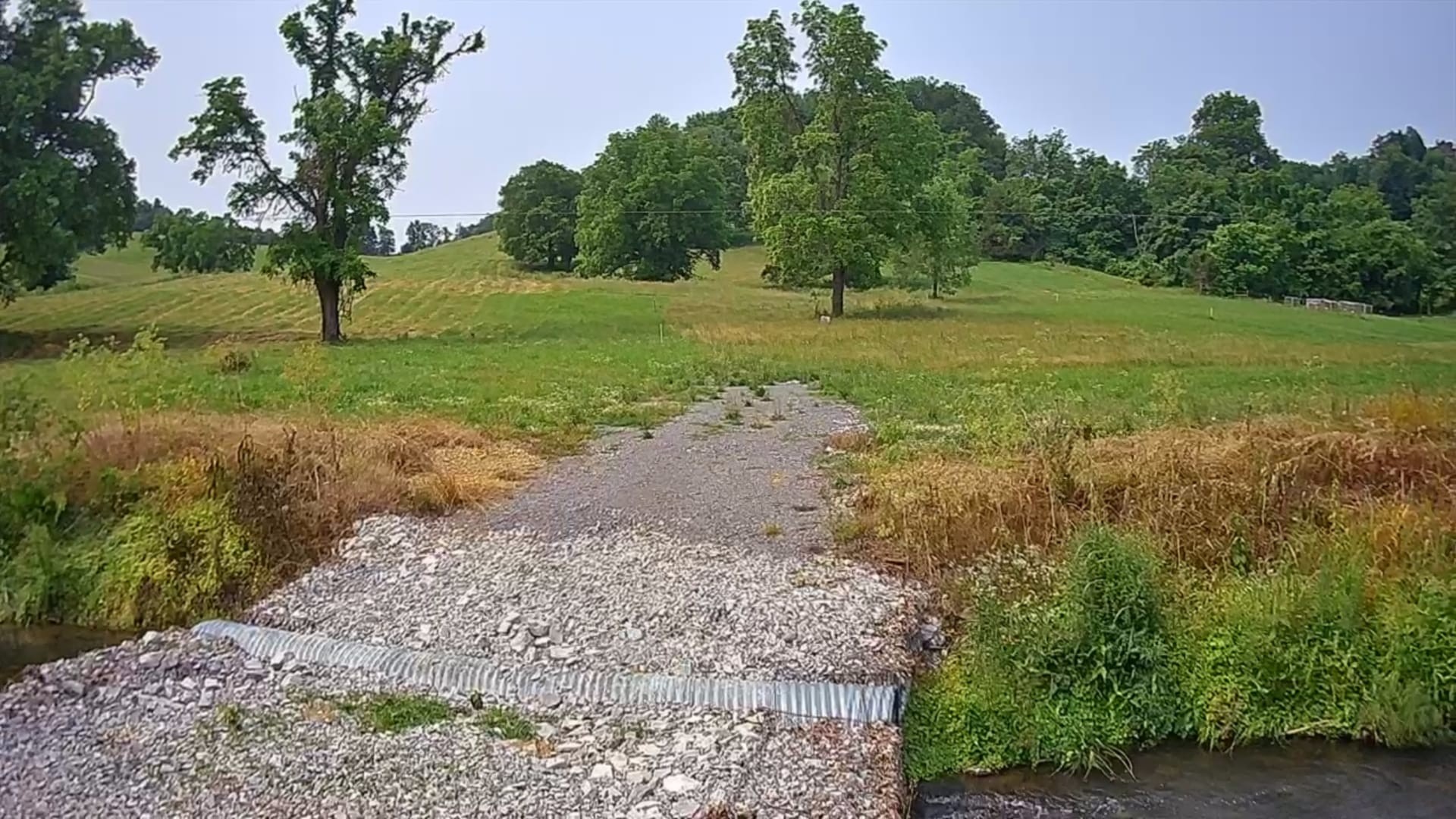 0 John Brinkley Road Lot 5 Shelbyville TN 37160