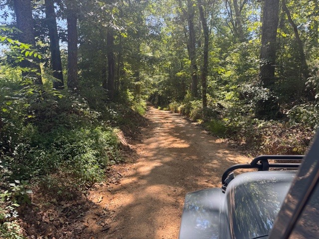 0 Barren Fork Drive Bon Aqua TN 37025
