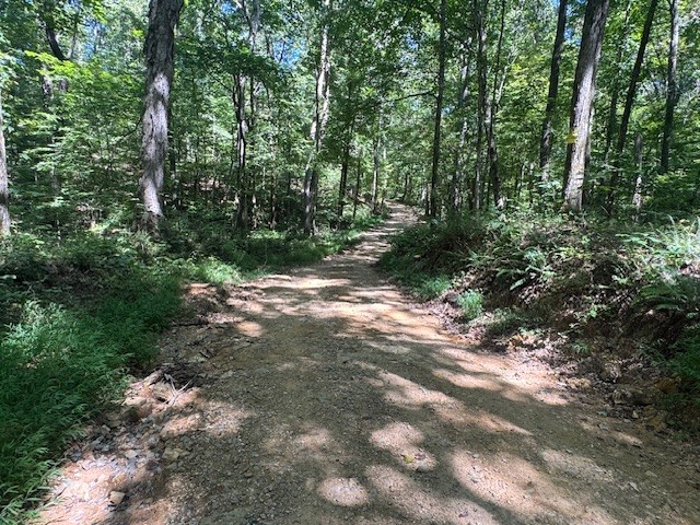 0 Barren Fork Drive Bon Aqua TN 37025