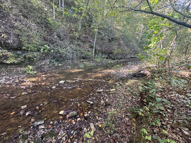 0 Barren Fork Drive Bon Aqua TN 37025