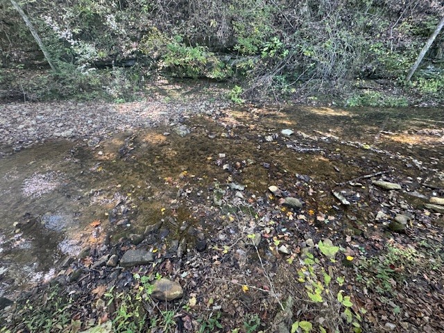 0 Barren Fork Drive Bon Aqua TN 37025
