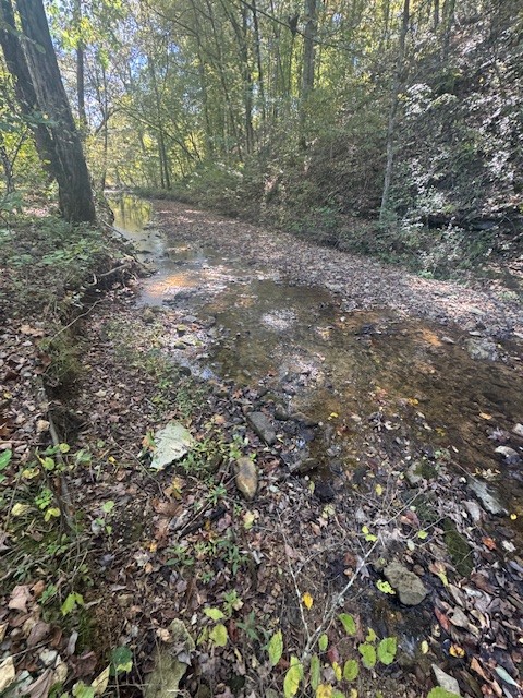 0 Barren Fork Drive Bon Aqua TN 37025