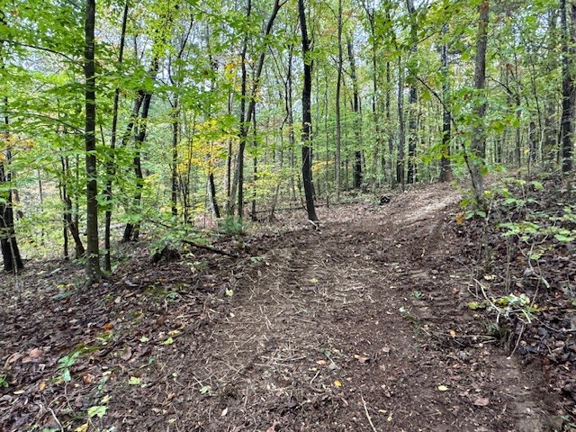 0 Barren Fork Drive Bon Aqua TN 37025