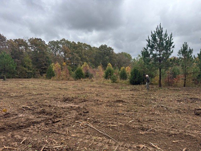 0 Barren Fork Drive Bon Aqua TN 37025