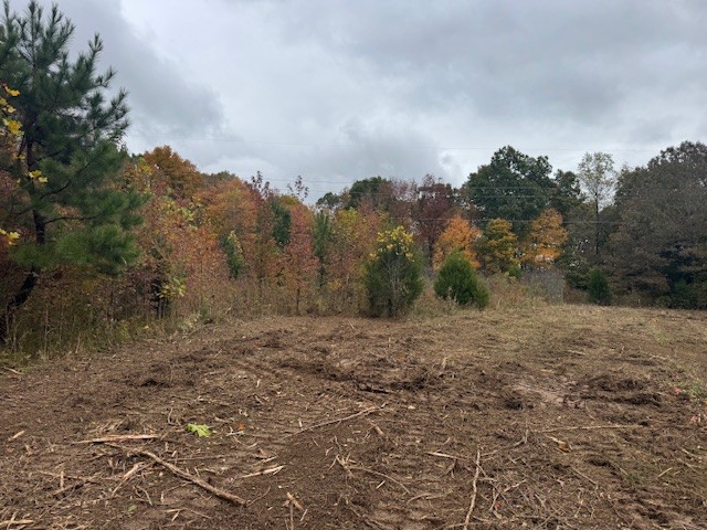 0 Barren Fork Drive Bon Aqua TN 37025