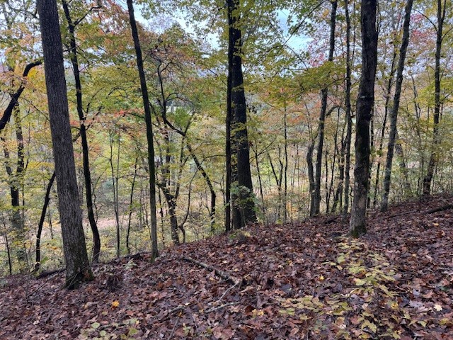 0 Barren Fork Drive Bon Aqua TN 37025