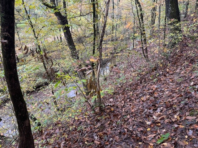 0 Barren Fork Drive Bon Aqua TN 37025