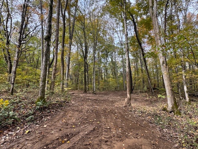 0 Barren Fork Drive Bon Aqua TN 37025