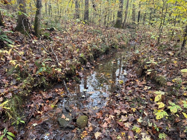 0 Barren Fork Drive Bon Aqua TN 37025