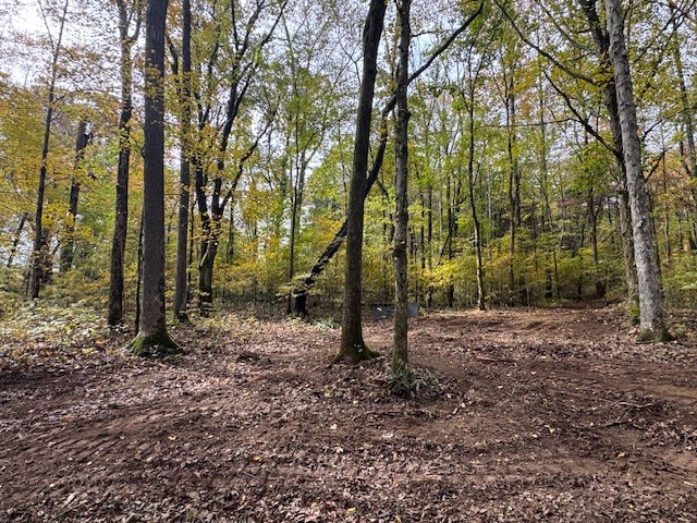 0 Barren Fork Drive Bon Aqua TN 37025