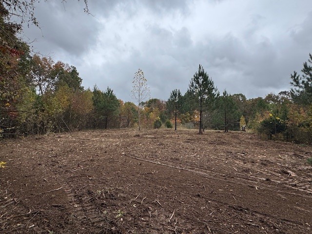 0 Barren Fork Drive Bon Aqua TN 37025