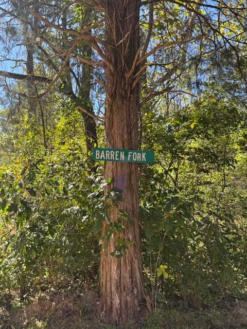 0 Barren Fork Drive Bon Aqua TN 37025