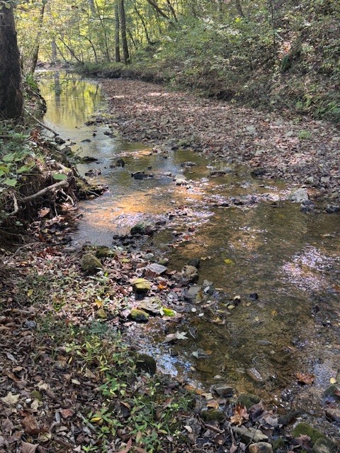 0 Barren Fork Drive Bon Aqua TN 37025