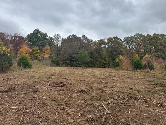 0 Barren Fork Drive Bon Aqua TN 37025