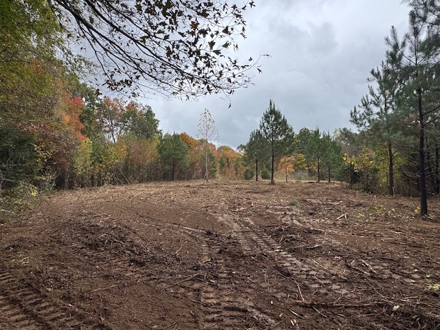 0 Barren Fork Drive Bon Aqua TN 37025