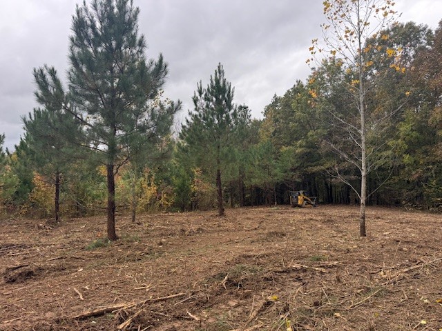 0 Barren Fork Drive Bon Aqua TN 37025