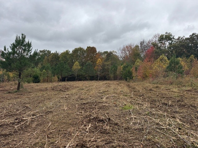 0 Barren Fork Drive Bon Aqua TN 37025