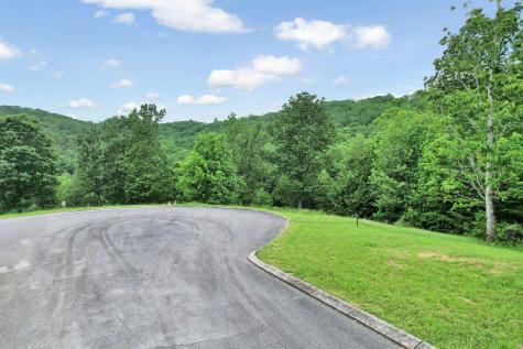 370 River Run Trail Spring City TN 37381