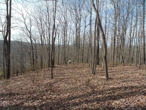 0 Nancy Wynn Road Sewanee TN 37375