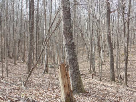 0 Nancy Wynn Road Sewanee TN 37375