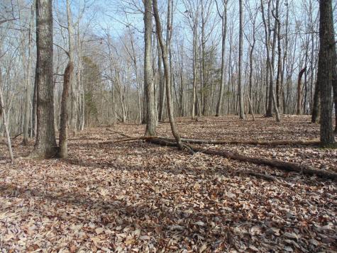 0 Nancy Wynn Road Sewanee TN 37375