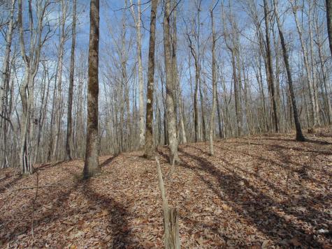 0 Nancy Wynn Road Sewanee TN 37375