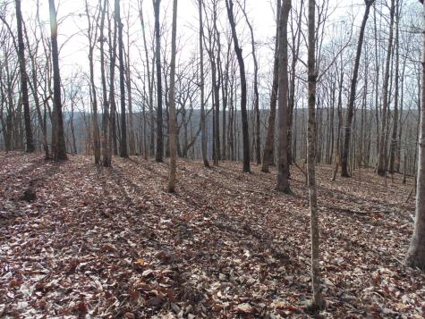 0 Nancy Wynn Road Sewanee TN 37375