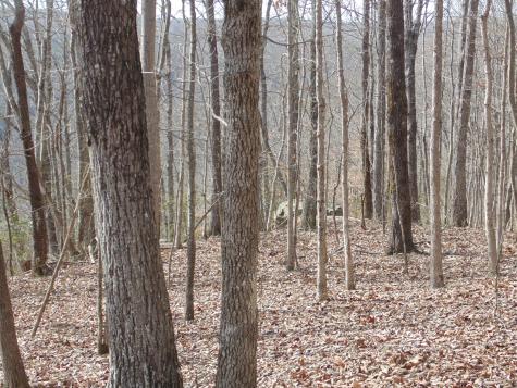 0 Nancy Wynn Road Sewanee TN 37375