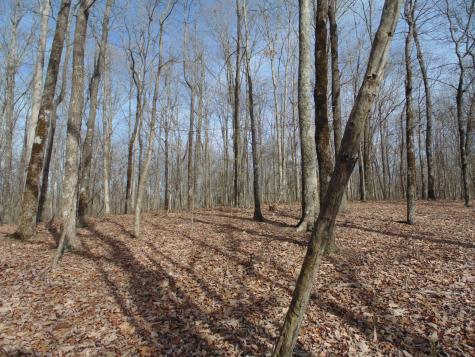 0 Nancy Wynn Road Sewanee TN 37375