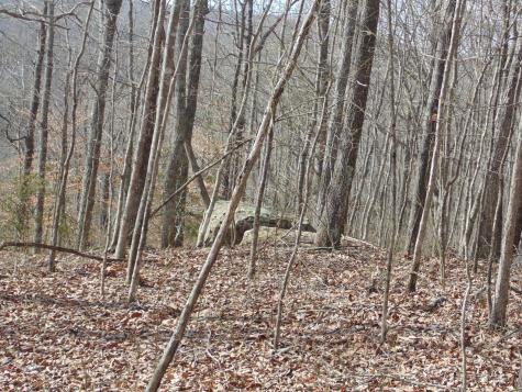 0 Nancy Wynn Road Sewanee TN 37375