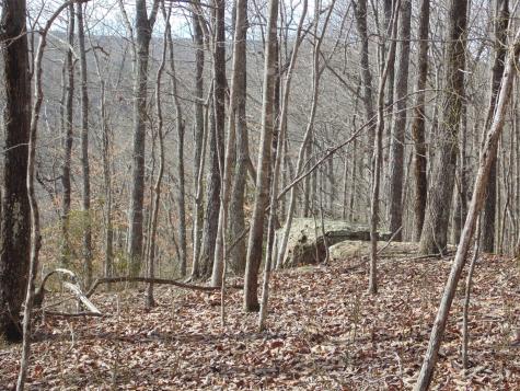 0 Nancy Wynn Road Sewanee TN 37375