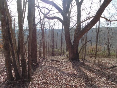 0 Nancy Wynn Road Sewanee TN 37375