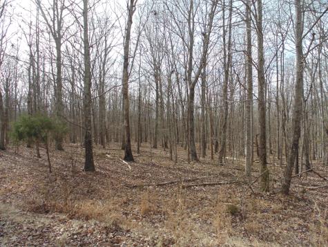 0 Nancy Wynn Road Sewanee TN 37375