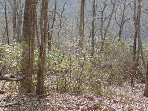 0 Nancy Wynn Road Sewanee TN 37375