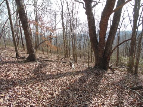 0 Nancy Wynn Road Sewanee TN 37375