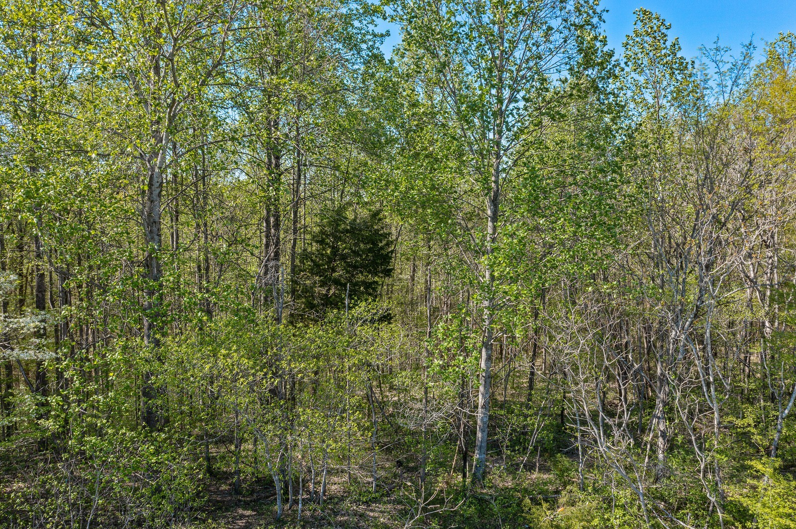 5522 Parker Branch Road Franklin TN 37064