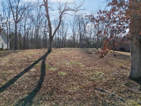 0 Willow Trail Goodlettsville TN 37072