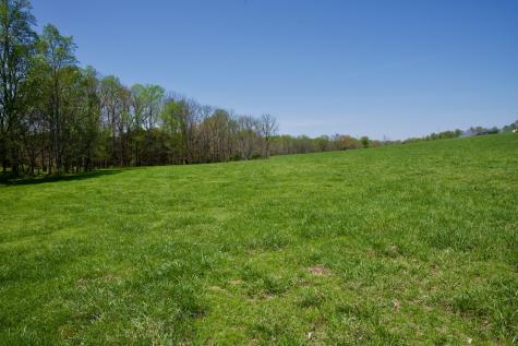 445 Boyd Creek Road Sparta TN 38583