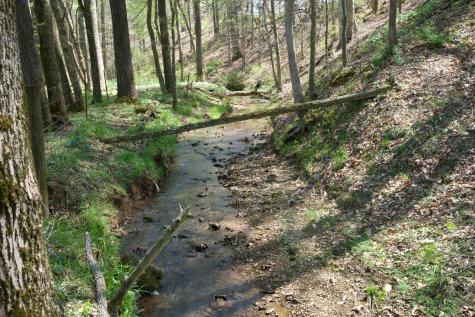 445 Boyd Creek Road Sparta TN 38583