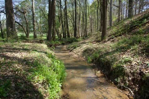 445 Boyd Creek Road Sparta TN 38583