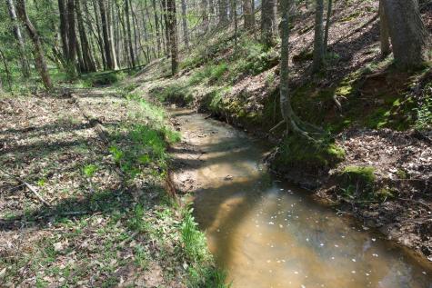 445 Boyd Creek Road Sparta TN 38583