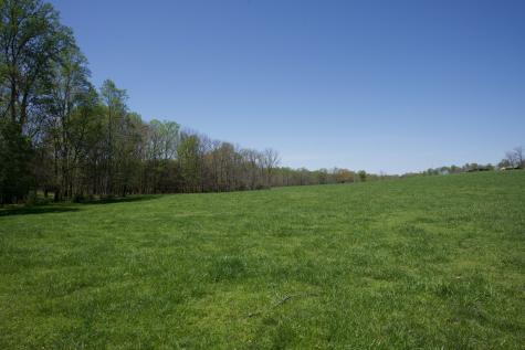 445 Boyd Creek Road Sparta TN 38583